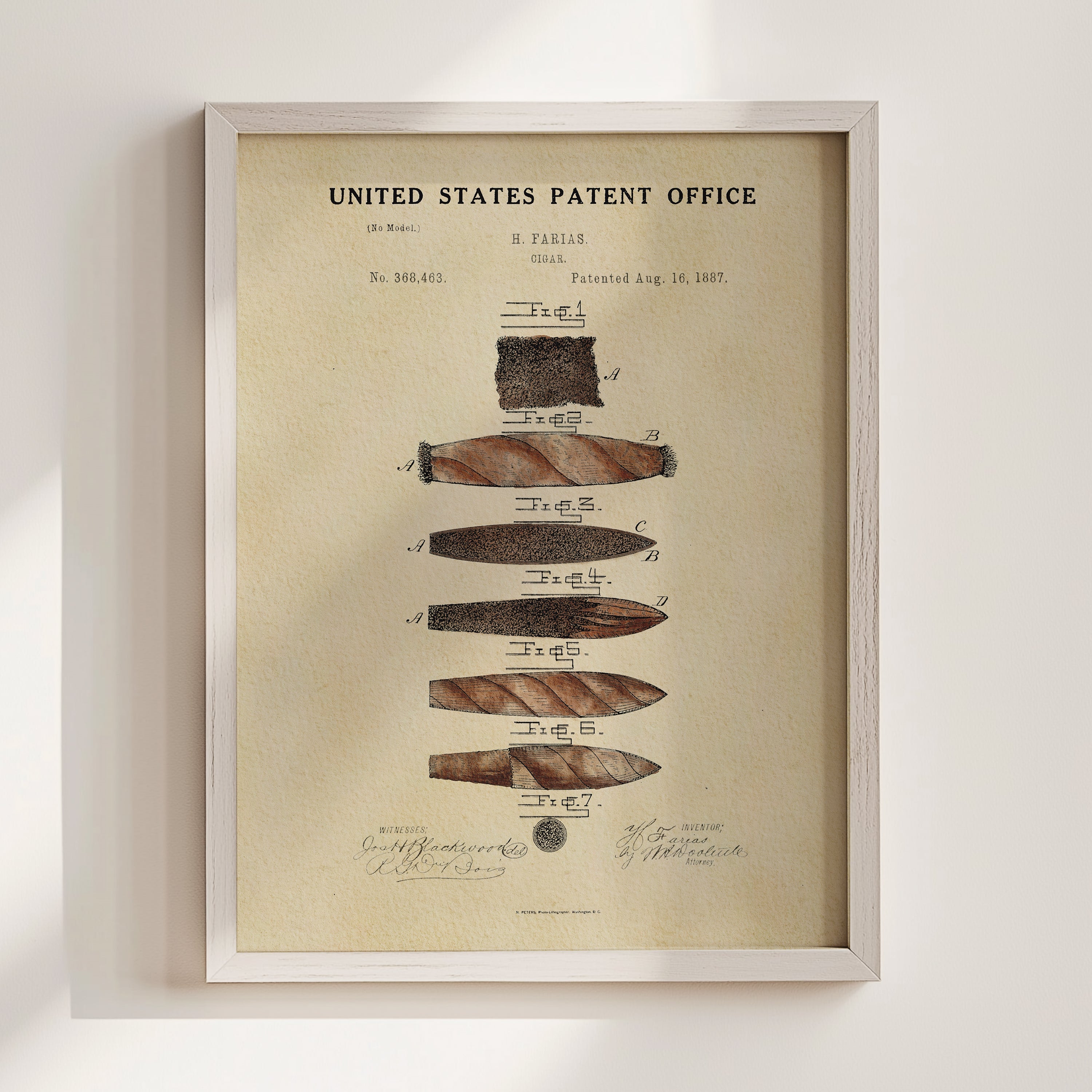 Cigar