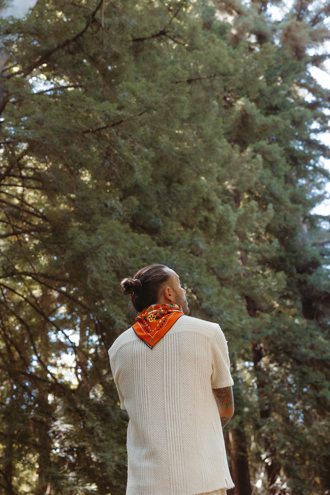 "Summer Breeze"