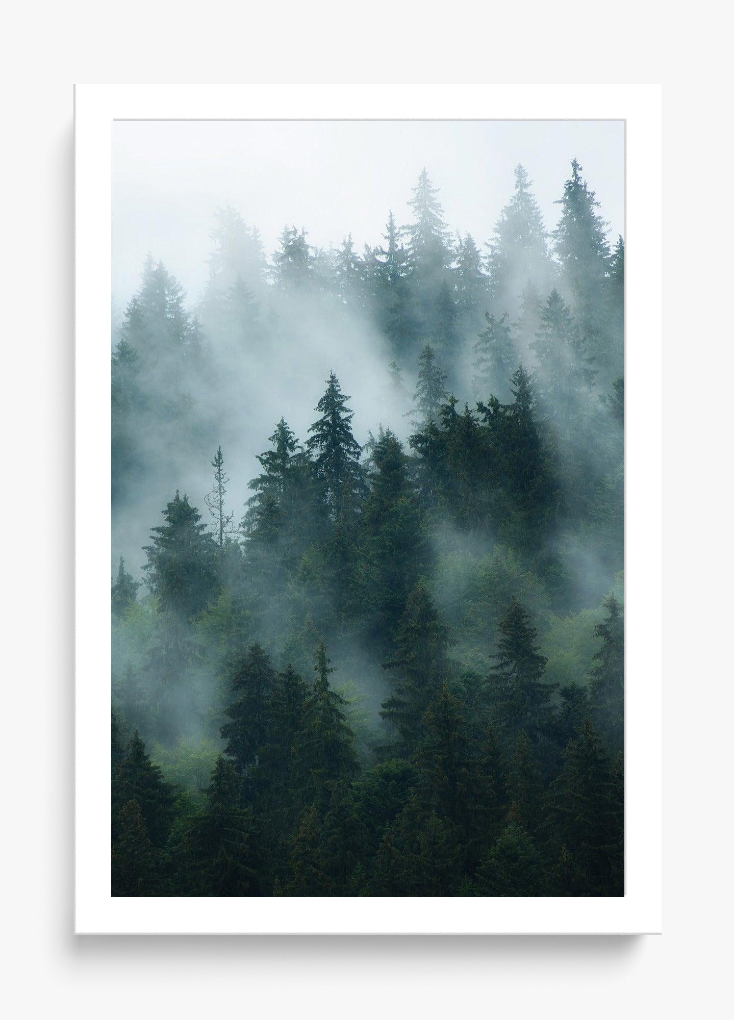 Deep Woods