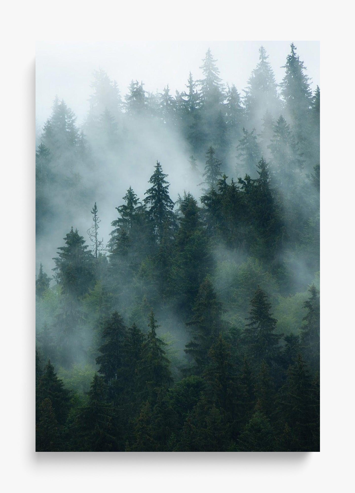 Deep Woods