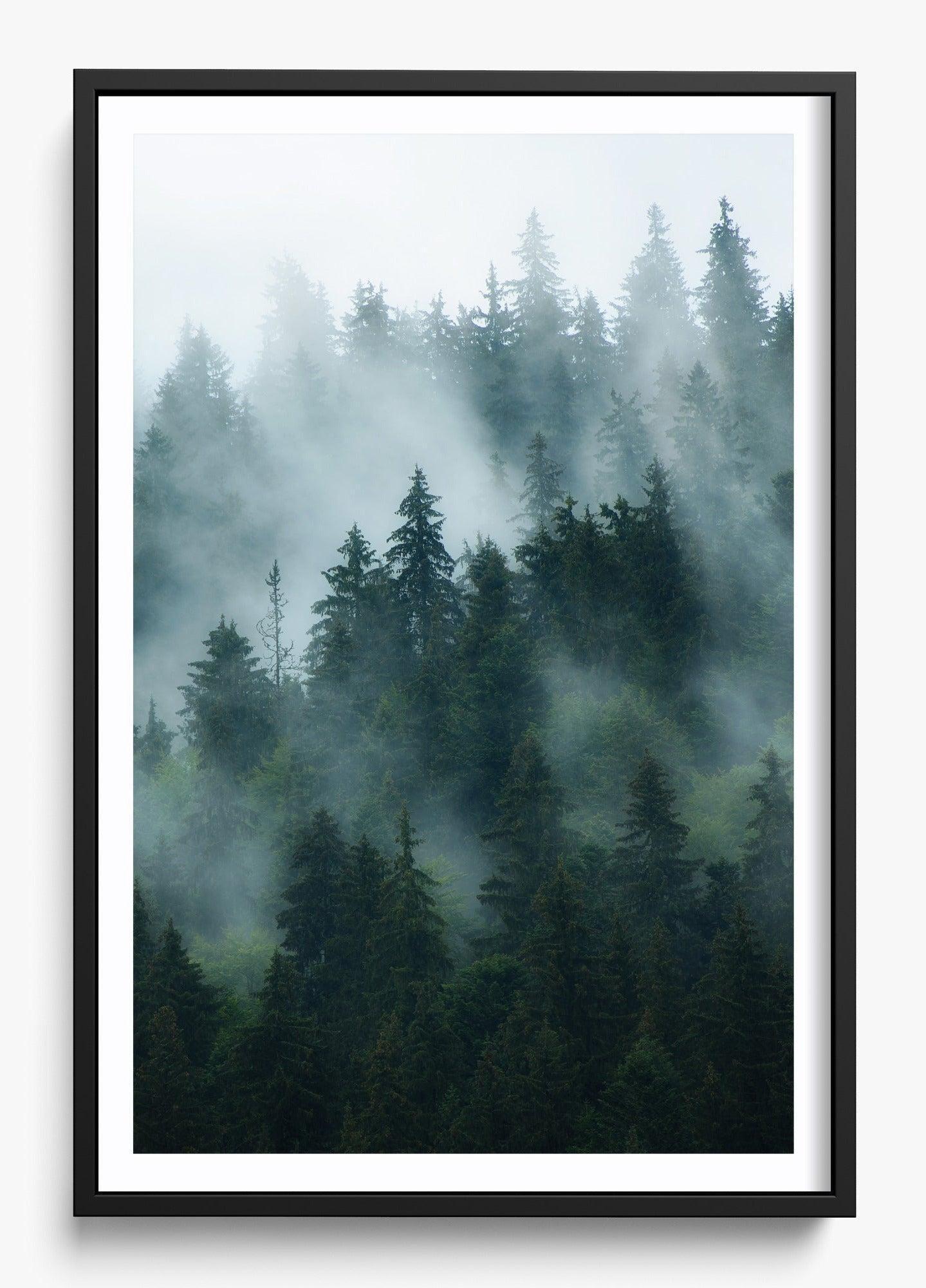 Deep Woods