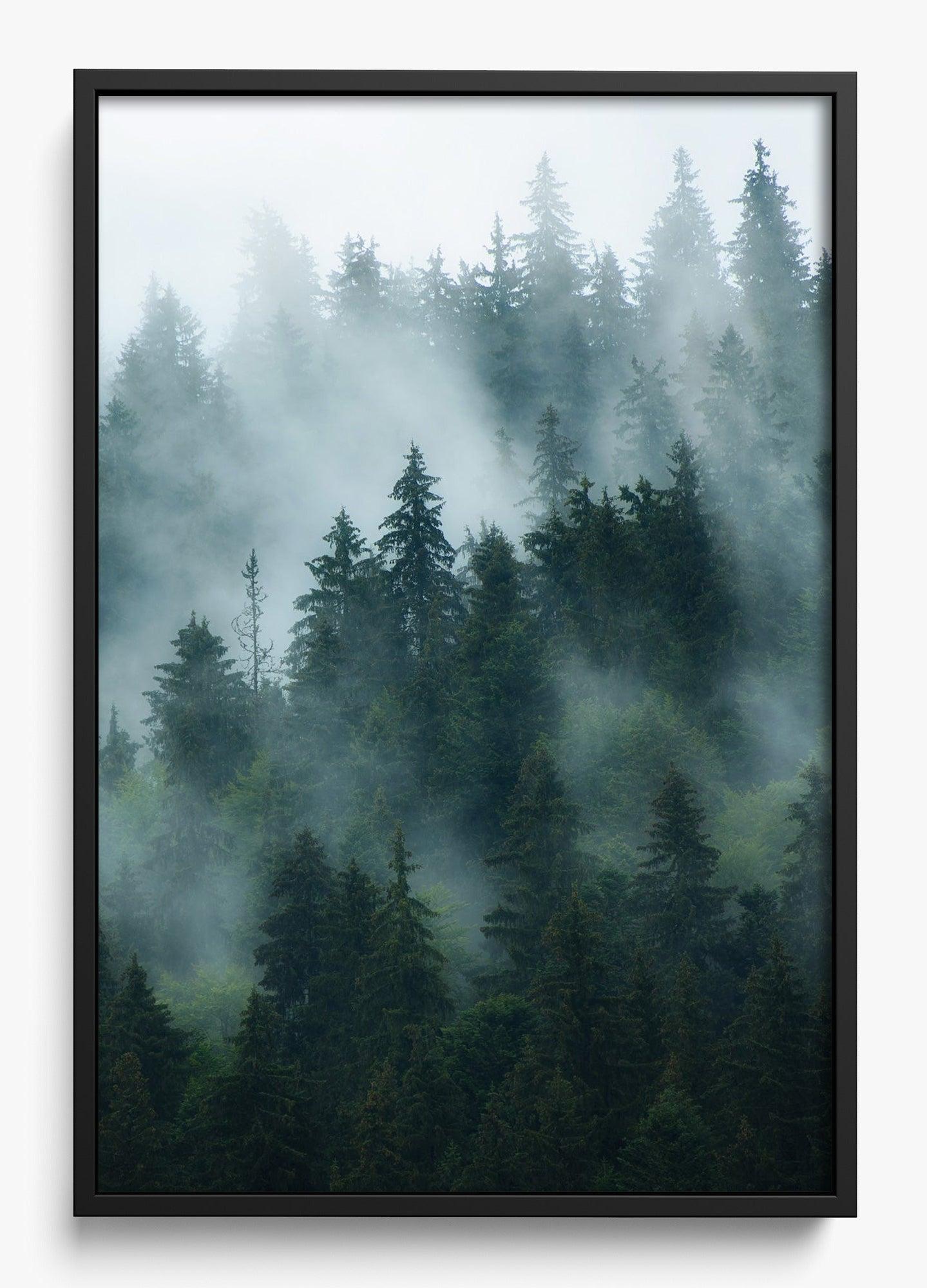 Deep Woods