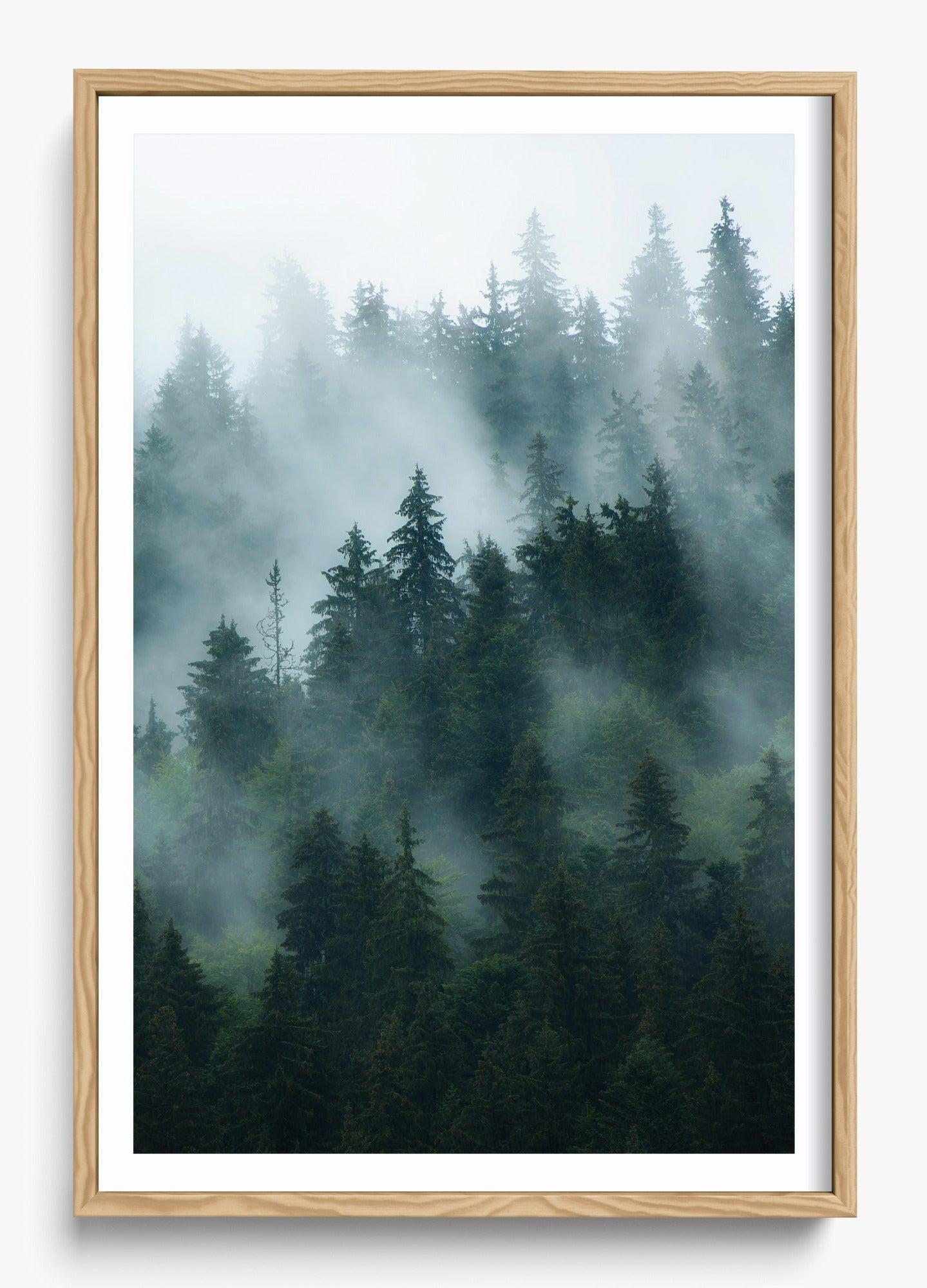 Deep Woods