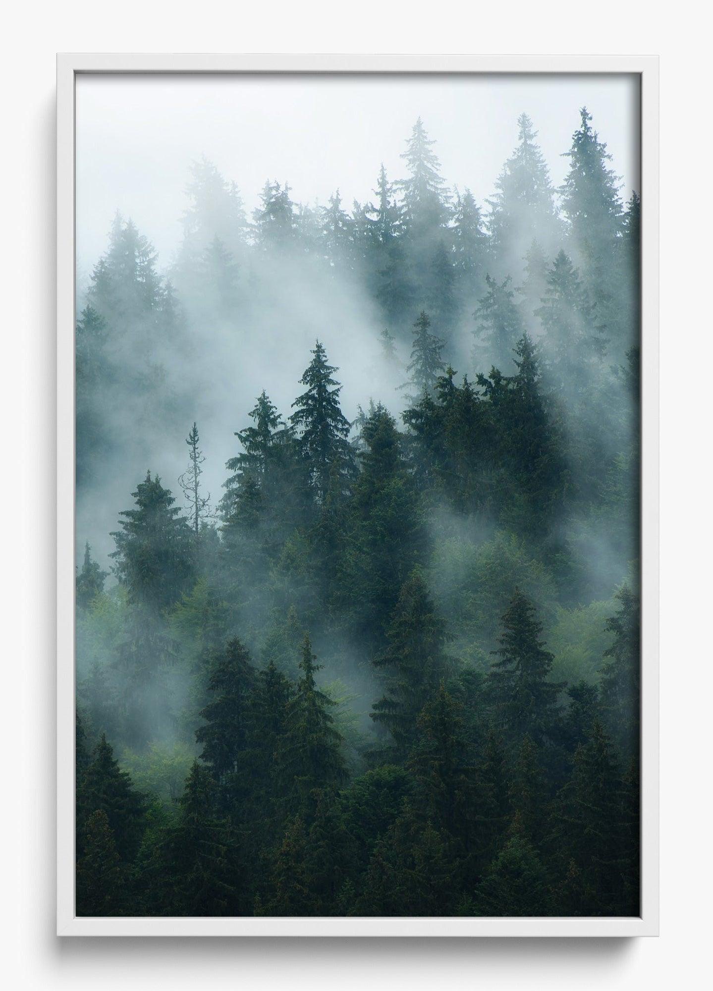 Deep Woods