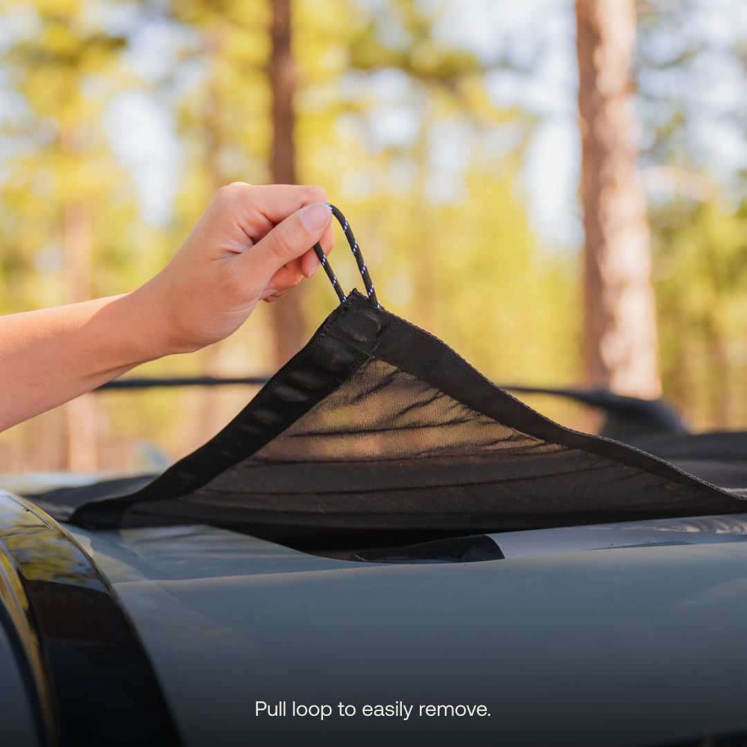Sunroof Window Screen