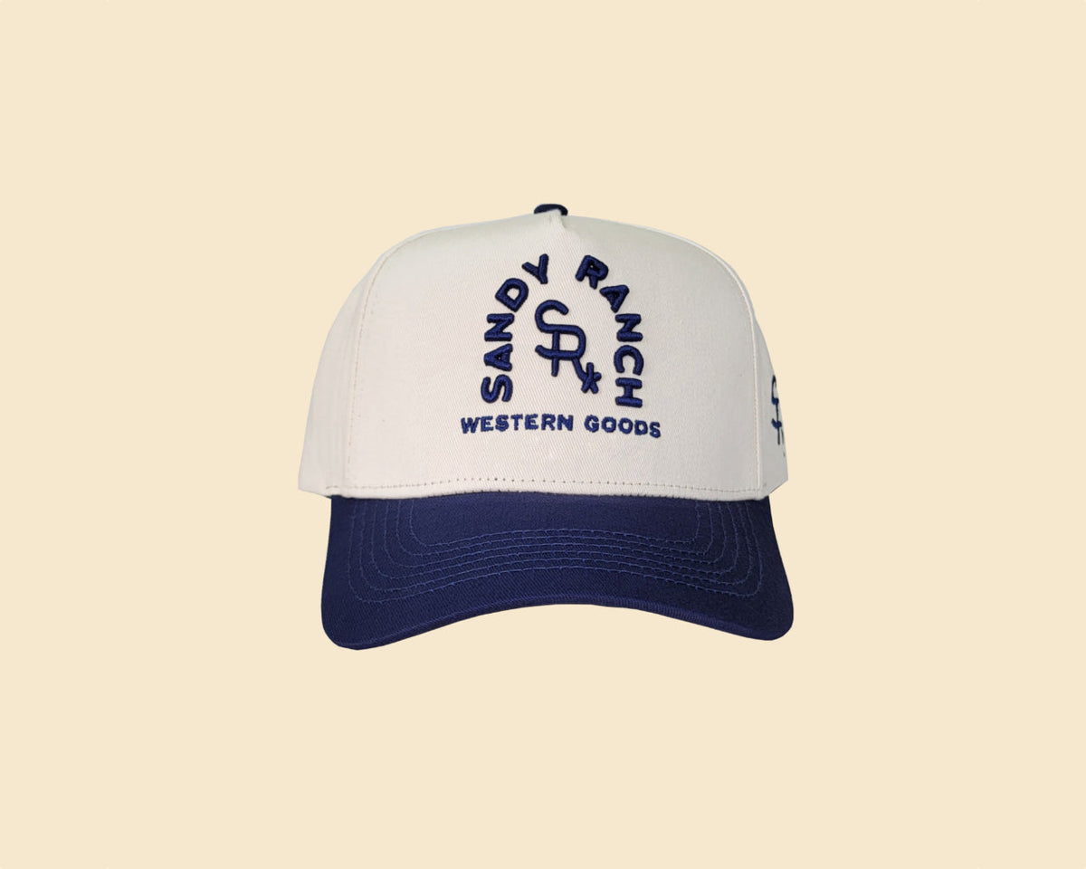 Staple Hat | Lake