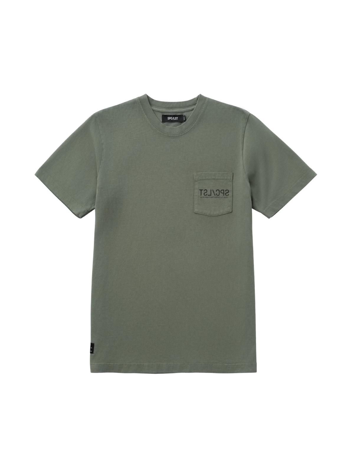 Cerebral_01T