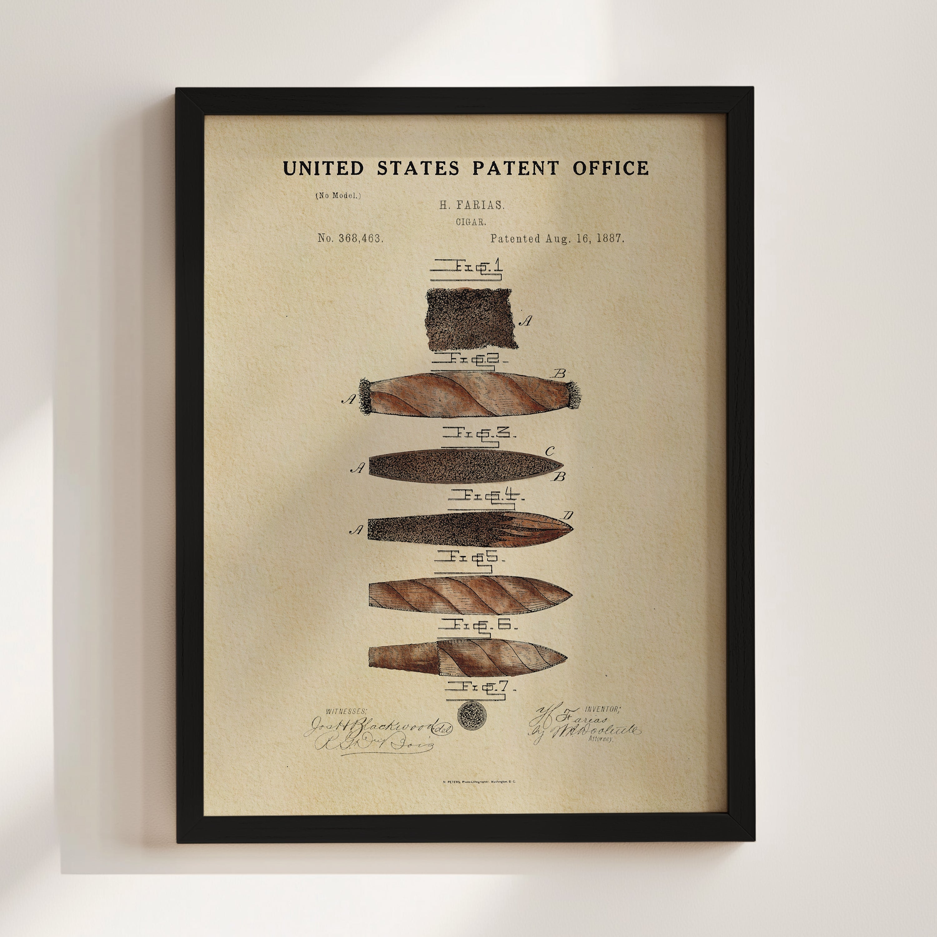 Cigar