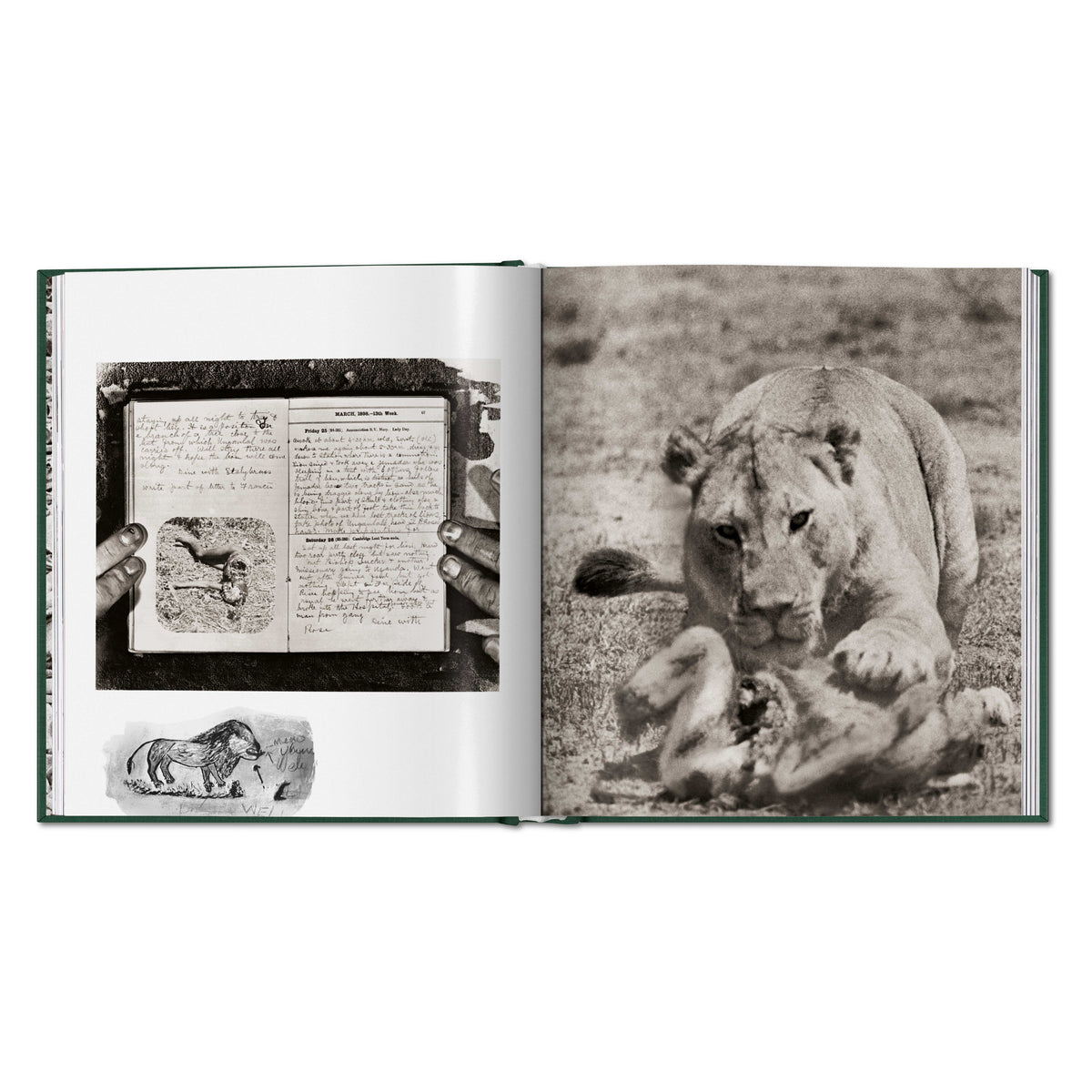 Peter Beard. The End of the Game (English)