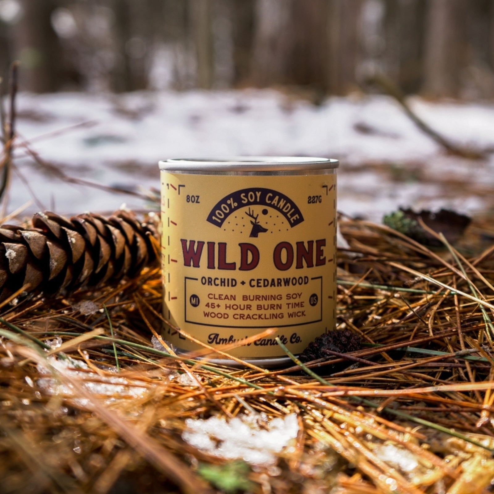 100% eco-friendly, vegan, and recyclable rugged candle with citrus, floral, musk and wood scents, featuring sustainable packaging.
