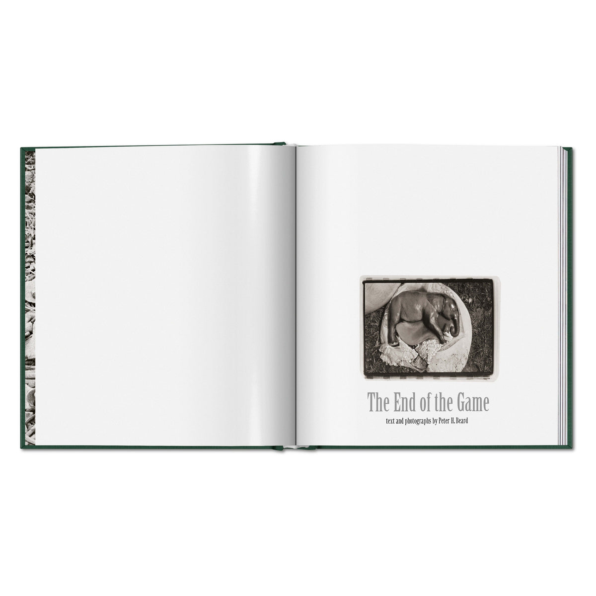 Peter Beard. The End of the Game (English)