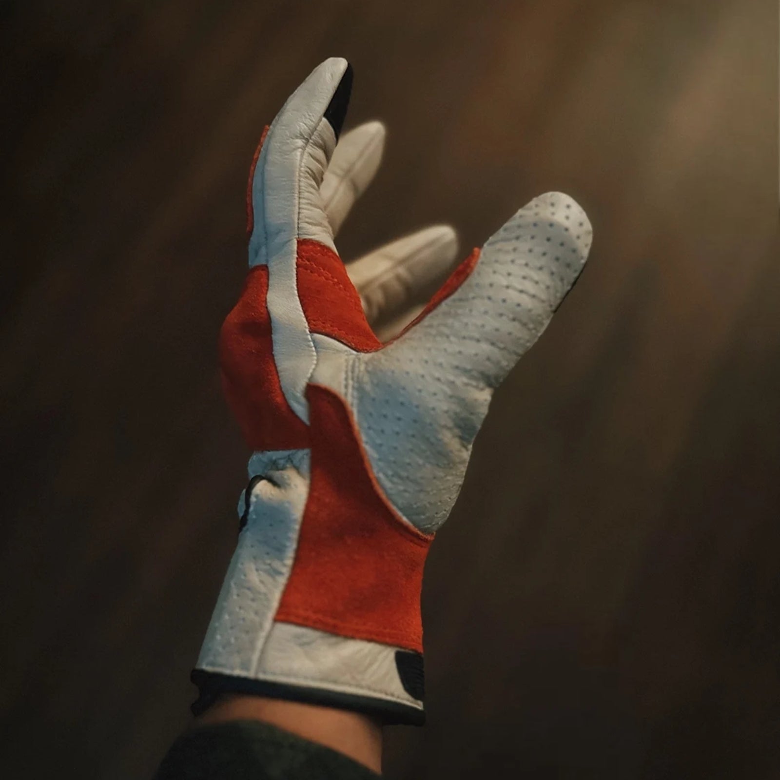 Vintage leather motorcycle gloves with classic design, perfect for riders who appreciate retro style and durability.