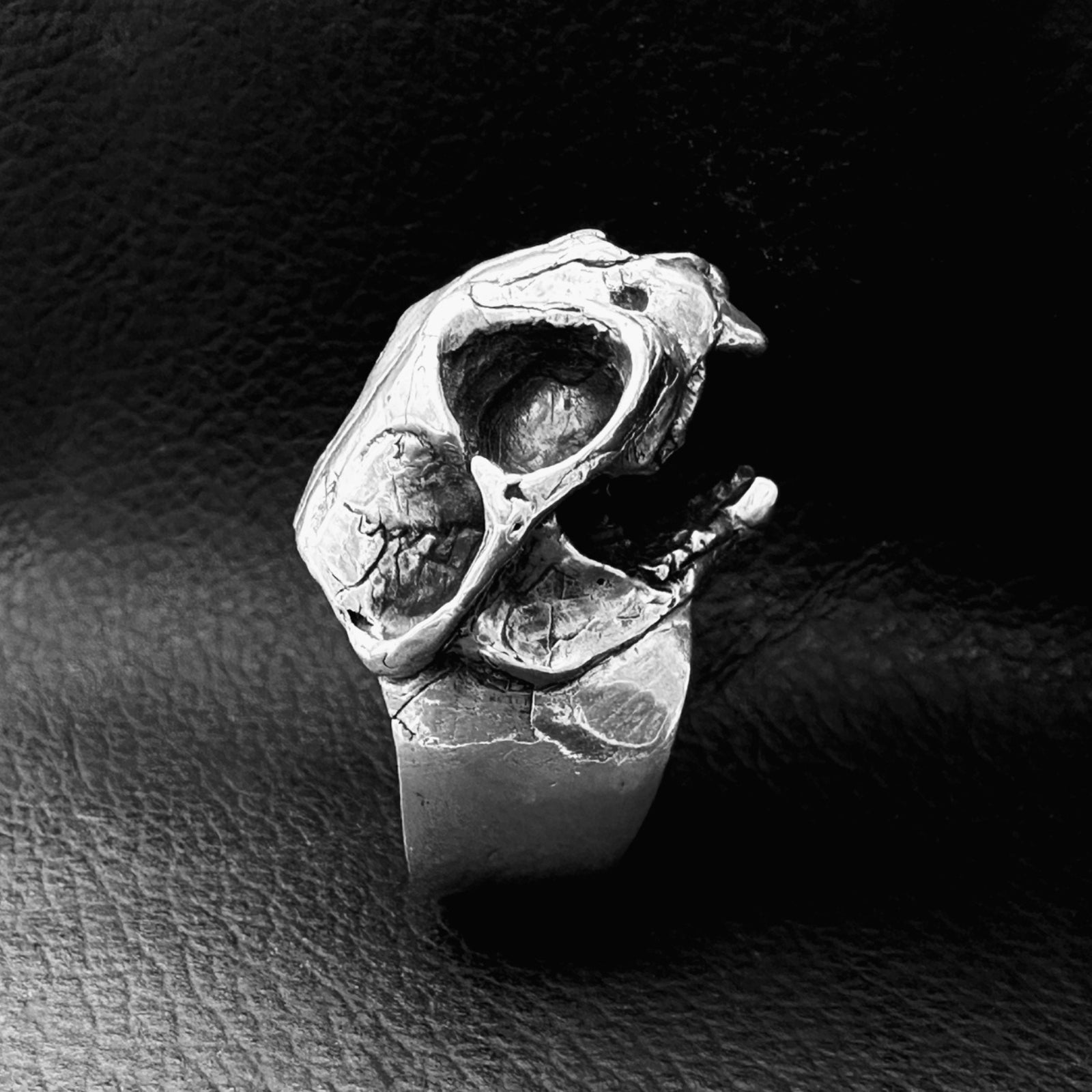 Intricate bobcat skull ring with detailed carving, showcasing a bold and unique animal-inspired design.