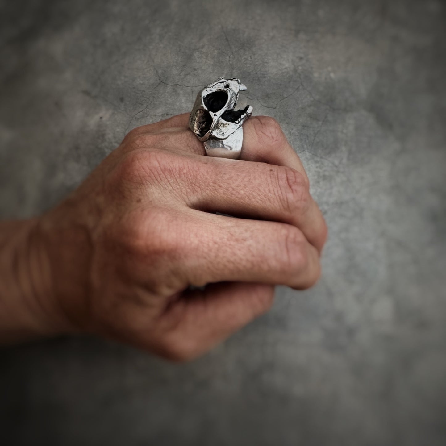 Intricate bobcat skull ring with detailed carving, showcasing a bold and unique animal-inspired design.