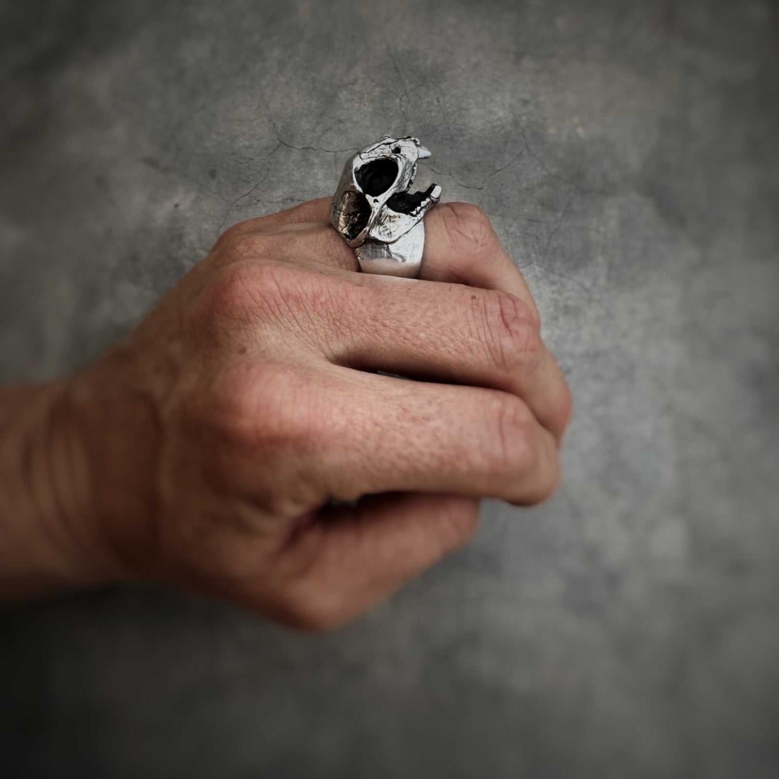 Intricate bobcat skull ring with detailed carving, showcasing a bold and unique animal-inspired design.