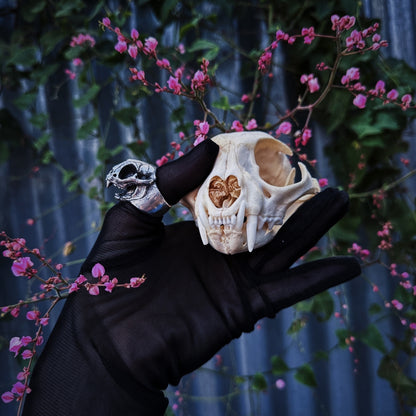 Intricate bobcat skull ring with detailed carving, showcasing a bold and unique animal-inspired design.