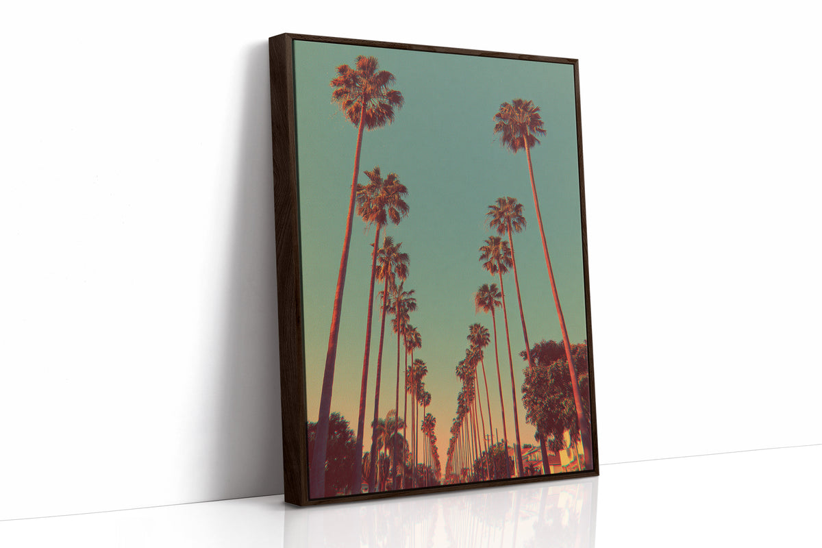 Avenue of Golden Palms