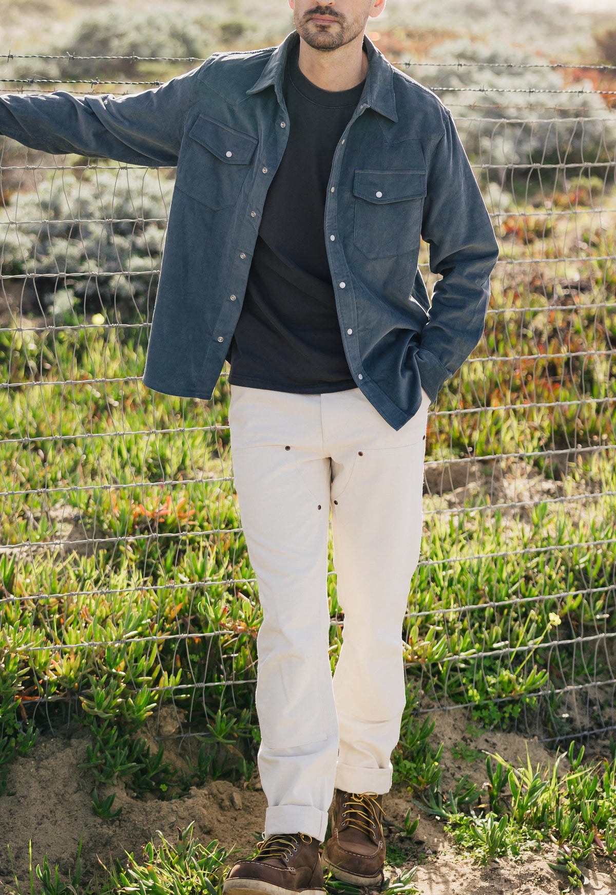 Draftsman Pant Ivory